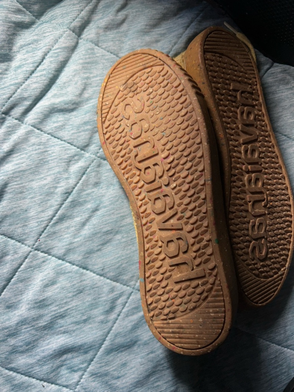 Havaianas Women’s Brown Flip-Flop Sandals